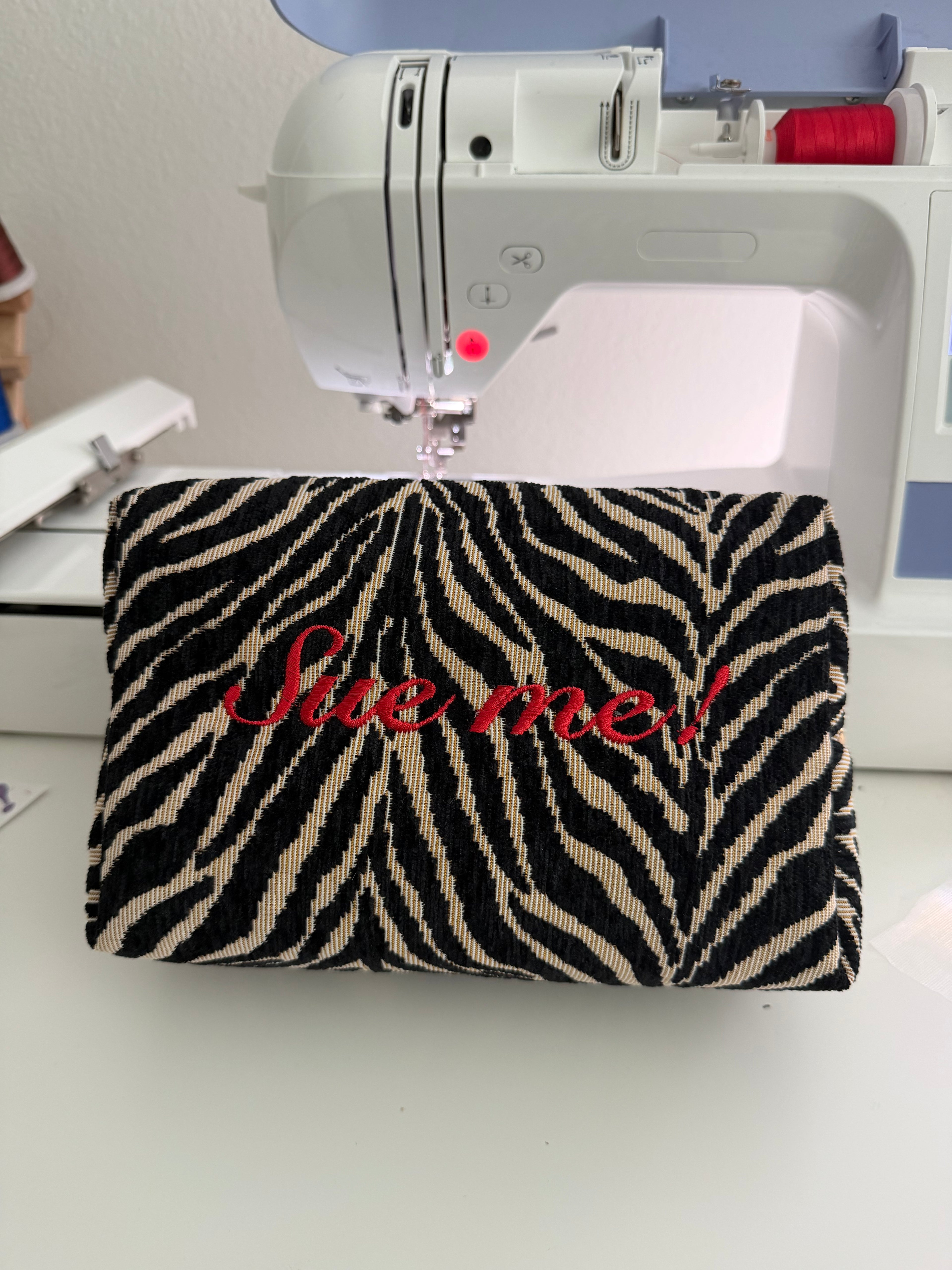Zebrini Pouch